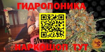 ешки Мариинск