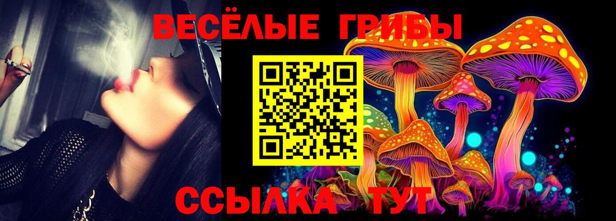 Печора  как найти закладки  Вход с VPN  Галлюциногенные грибы MAGIC MUSHROOMS  Псилоцибиновые грибы мицелий 